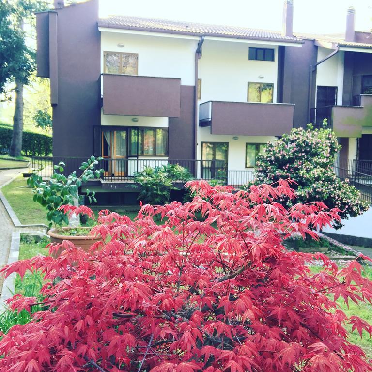 Maison 3G Ariccia Zewnętrze zdjęcie
